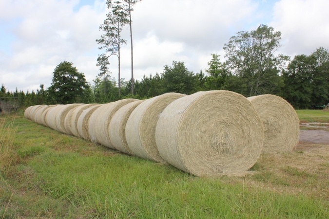 greeview farms hay