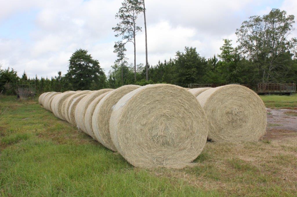 greenview farms hay